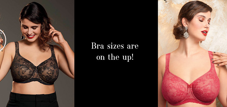Bra sizes are on the up!