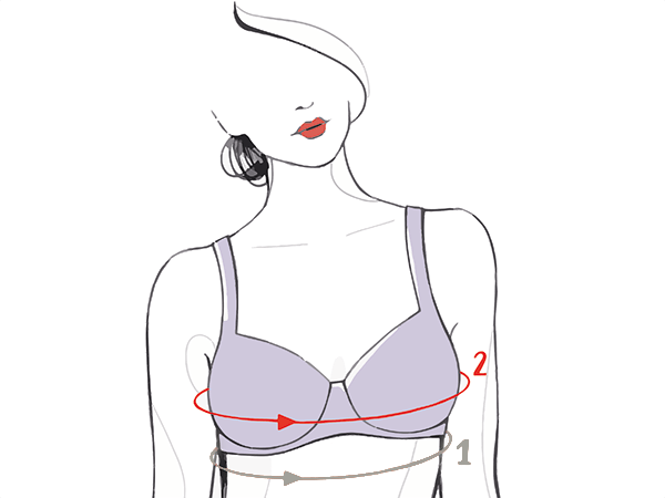 Taille de top soutif e