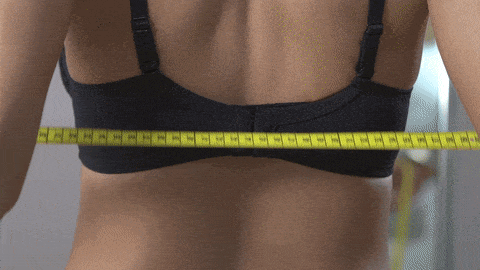 Bra size calculator How to Measure Your Bra Size at Home